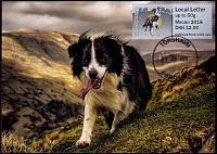 Foroe Isl Macao Dogs Border Collie MC FD 12.00.jpg