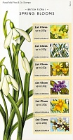 2014-02-19 Spring-Blooms 6x Faststamps PrPack 1.jpg