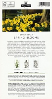 2014-02-19 Spring-Blooms 6x Faststamps PrPack 2.jpg